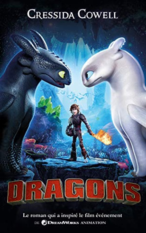 Cover Art for 9782016212523, Harold et les dragons - Tome 1 - Tie-in: Comment dresser votre dragon (Harold et les dragons (1)) (French Edition) by Cressida Cowell