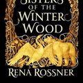 Cover Art for 9780316483360, The Sisters of the Winter Wood by Rena Rossner