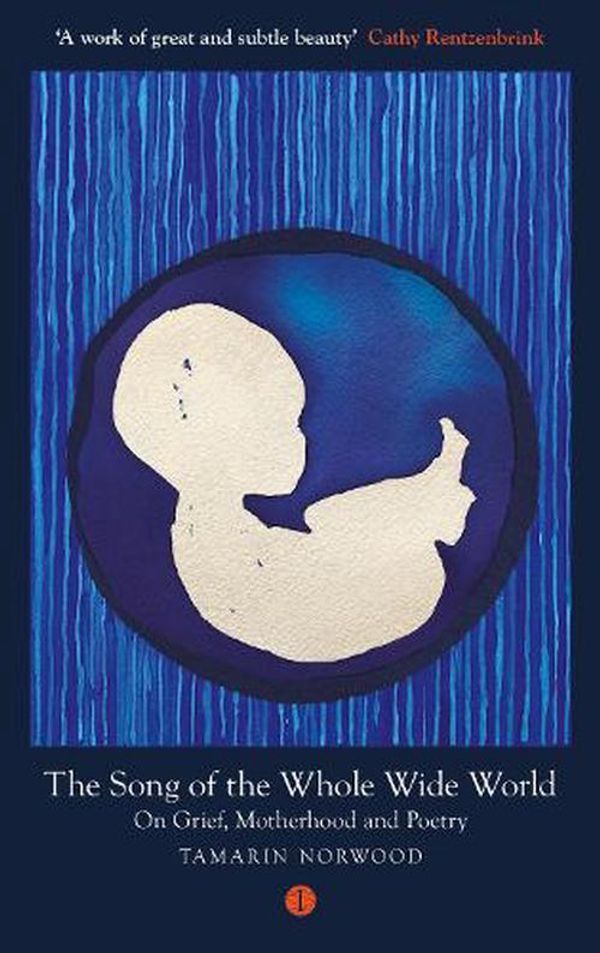 Cover Art for 9781911648734, The Song of the Whole Wide World: On Motherhood, Grief and Poetry by Tamarin Norwood