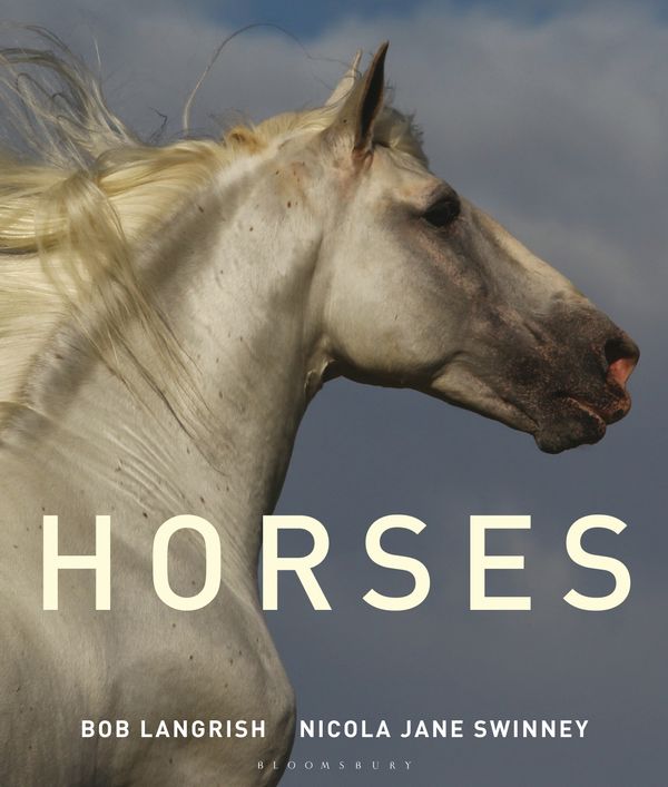 Cover Art for 9781472910837, Horses by Nicola Jane Swinney