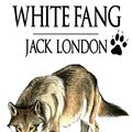Cover Art for 1230000097029, White Fang by Jack London