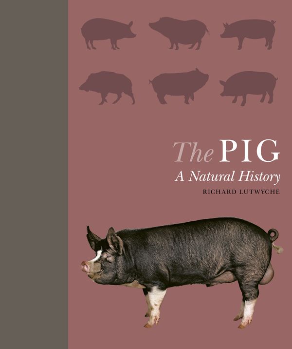 Cover Art for 9781782406174, The Pig: A Natural History by Richard Lutwyche