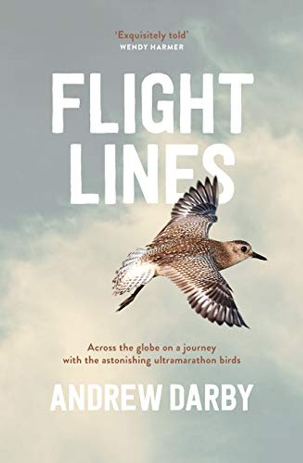 Cover Art for B07ZYNPS4F, Flight Lines: Across the globe on a journey with the astonishing ultramarathon birds by Andrew Darby