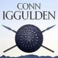 Cover Art for 9780007230730, Empire of Silver by Conn Iggulden