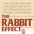 Cover Art for 9781432873295, The Rabbit Effect by Kelli Harding, MD