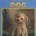 Cover Art for 9781590360330, Caring for Your Dog by Jill Foran