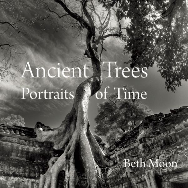 Cover Art for 9780789211958, Ancient Trees: Portraits of Time by Beth Moon