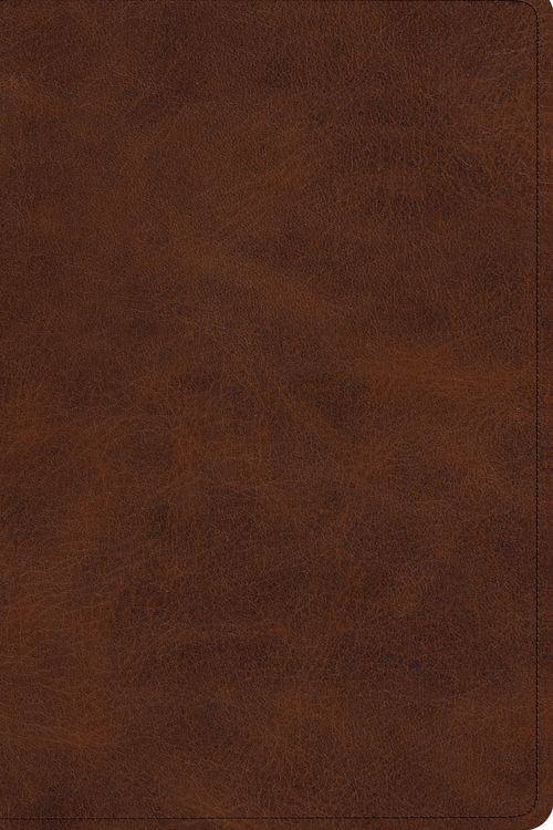 Cover Art for 9781433545597, ESV Verse-by-Verse Reference Bible (TruTone, Deep Brown) (Esv Bibles) by Crossway Bibles