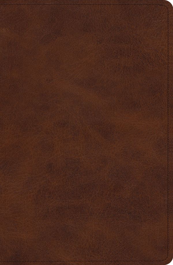 Cover Art for 9781433545597, ESV Verse-by-Verse Reference Bible (TruTone, Deep Brown) (Esv Bibles) by Crossway Bibles