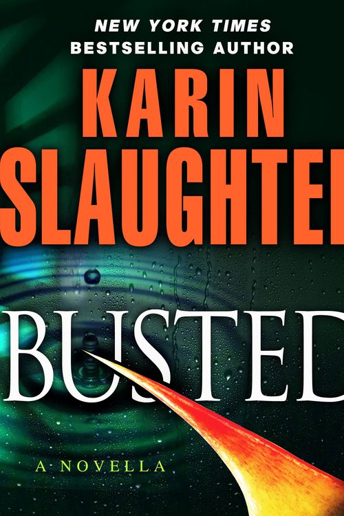 Cover Art for 9780345545428, Busted by Karin Slaughter