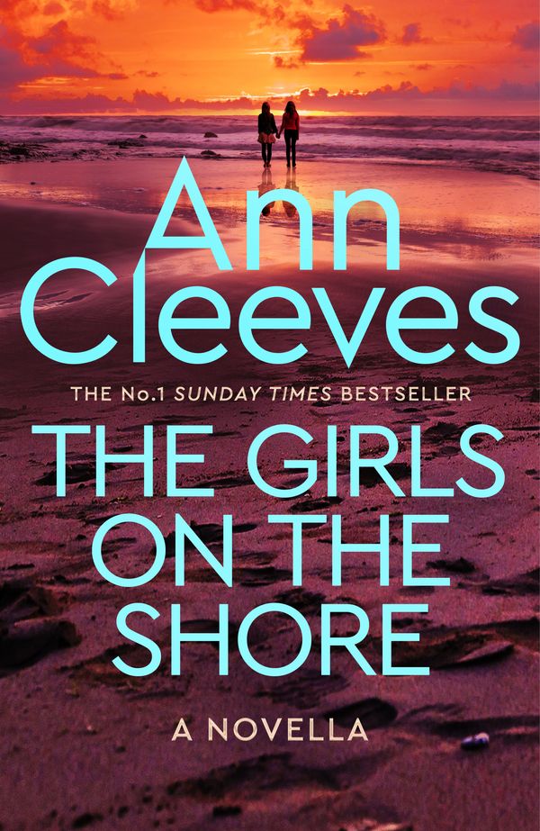 Cover Art for 9781761260636, The Girls on the Shore by Ann Cleeves