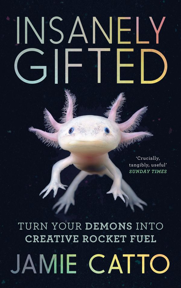 Cover Art for 9781782118039, Insanely Gifted: Turn Your Demons into Creative Rocket Fuel by Jamie Catto