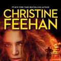 Cover Art for 9780515139761, Night Game by Christine Feehan