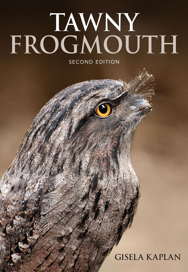 Cover Art for 9781486308163, Tawny Frogmouth by Gisela Kaplan