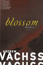 Cover Art for 9780679772613, Blossom by Vachss, Andrew H.
