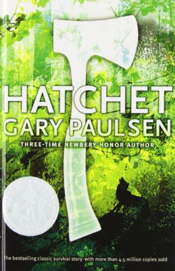 Cover Art for 9781435203372, Hatchet by Gary Paulsen