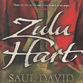 Cover Art for 9780340998465, Zulu Hart by Saul David