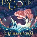 Cover Art for 9781510105461, Where the River Runs Gold by Sita Brahmachari