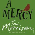 Cover Art for 9780099502548, A Mercy by Toni Morrison