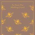 Cover Art for 9780141393384, Far From The Madding Crowd by Thomas Hardy