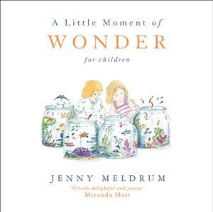 Cover Art for 9781473691735, A Little Moment of Wonder for Children by Jenny Meldrum