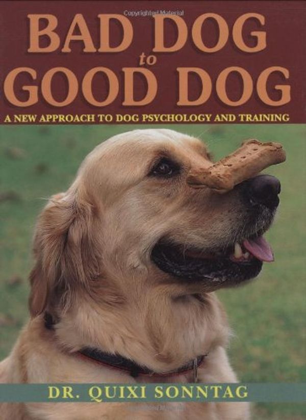 Cover Art for 9780785825449, Bad Dog to Good Dog by Dr Quixi Sonntag