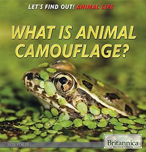 Cover Art for 9781680480016, What Is Animal Camouflage? by Staley, Erin