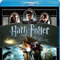 Cover Art for 9325336124888, Harry Potter And The Deathly Hallows : Part 1 by Warwick Davis,Emma Watson,Rupert Grint,Daniel Radcliffe,Brendan Gleeson