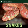 Cover Art for 9780061140969, Snakes by Seymour Simon
