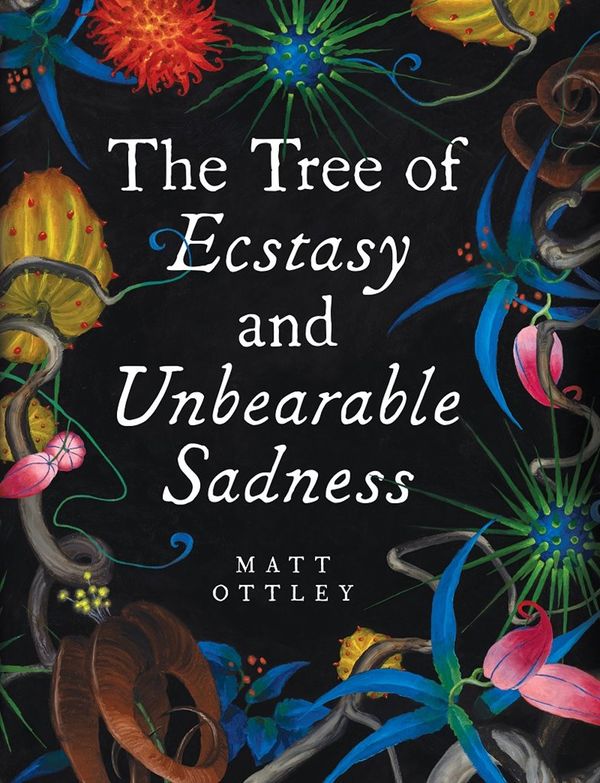 Cover Art for 9780648023852, Tree of Ecstasy and Unbearable Sadness by Matt Ottley