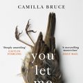 Cover Art for 9781784164508, You Let Me In by Camilla Bruce