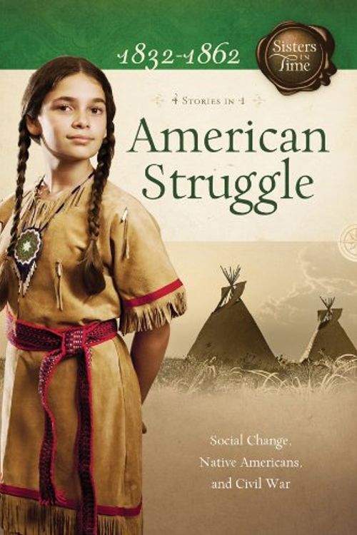 Cover Art for 9781616266714, American Struggle by Veda B Jones