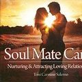 Cover Art for 9781572816589, Soul Mate Cards by Toni Carmine Salerno