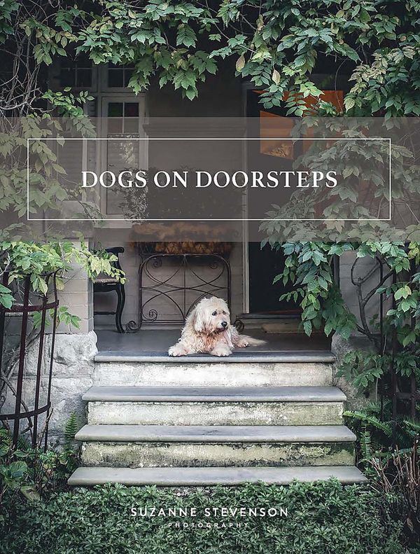 Cover Art for 9780646824017, Dogs on Doorsteps by Suzanne Stevenson