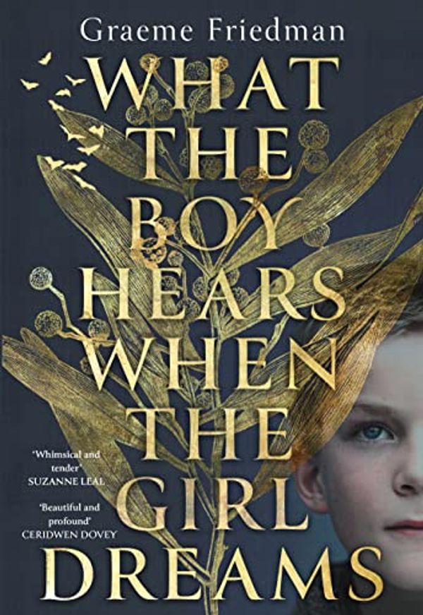 Cover Art for B09M3P54Q6, What the Boy Hears When the Girl Dreams by Friedman, Graeme