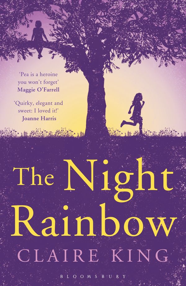 Cover Art for 9781408841846, The Night Rainbow by Claire King