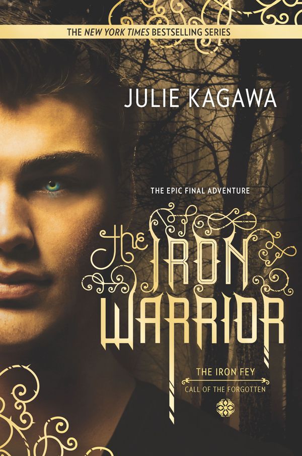 Cover Art for 9780373211357, The Iron Warrior (Iron Fey) by Julie Kagawa