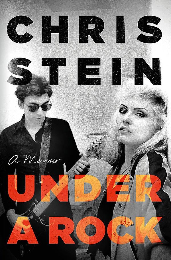 Cover Art for 9781472157645, UNDER A ROCK by CHRIS STEIN