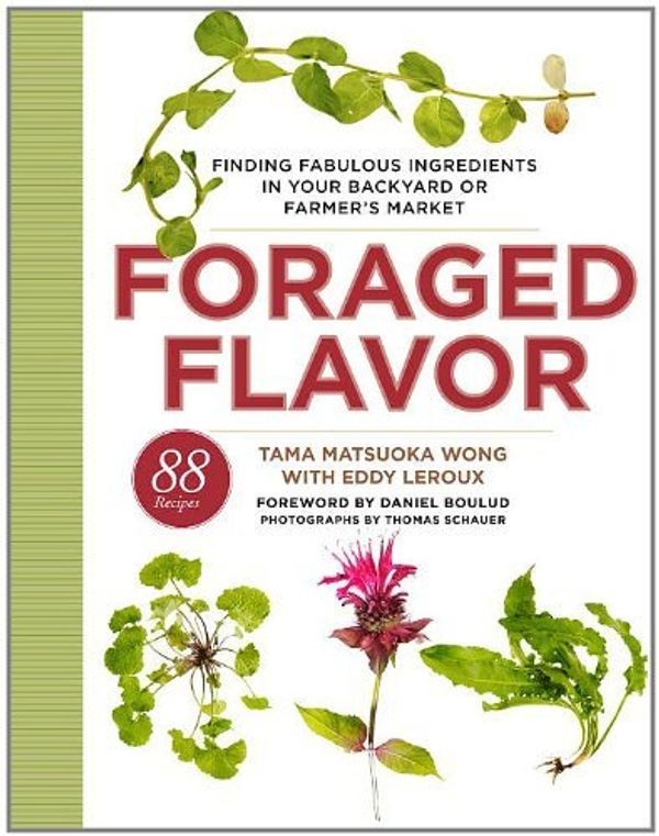 Cover Art for 9780307956613, Foraged Flavor by Tama Matsuoka Wong