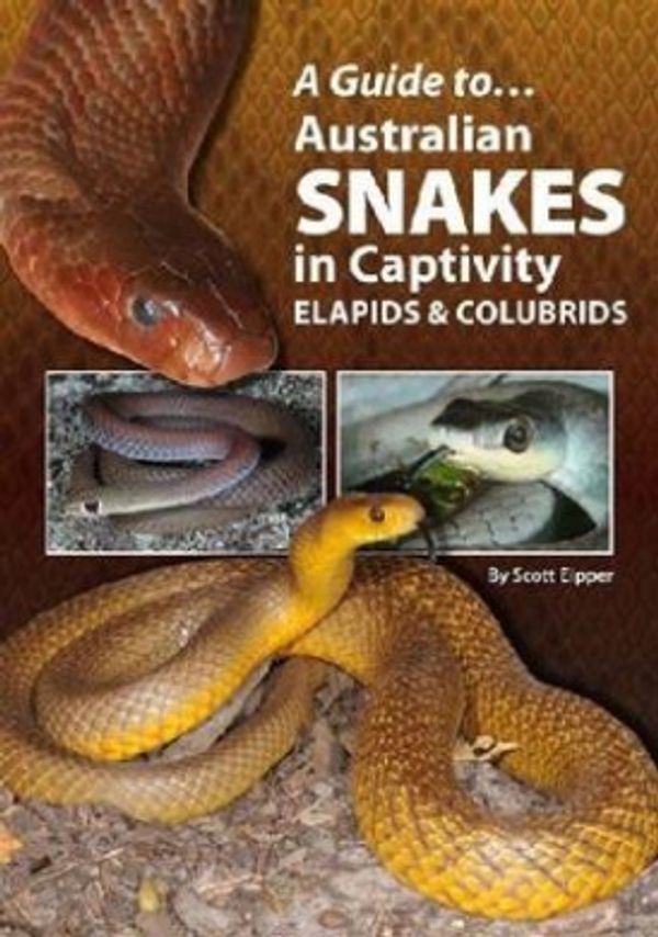 Cover Art for 9780987244789, A Guide To Australian Snakes In Captivity by Scott Eipper