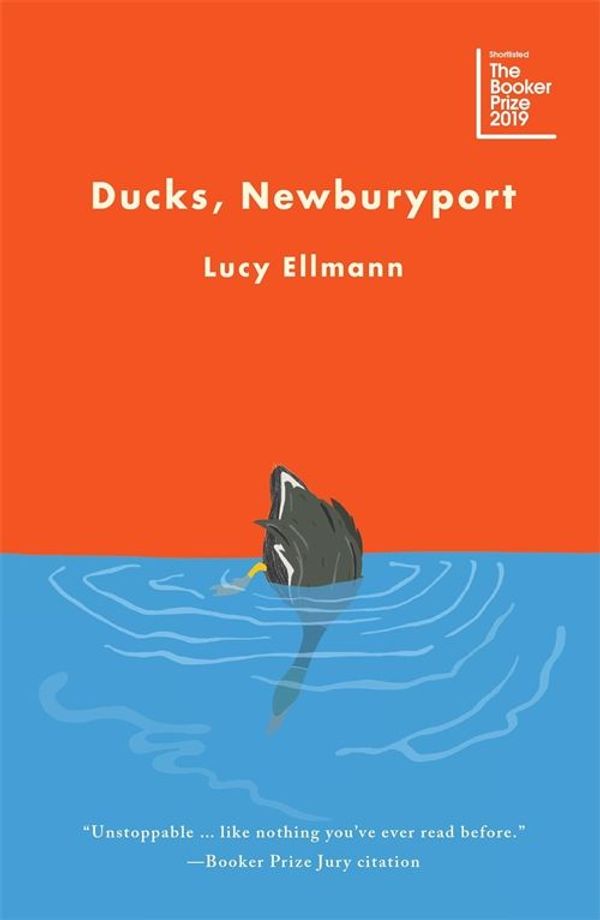 Cover Art for 9781529042030, Ducks, Newburyport by Lucy Ellmann