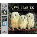 Cover Art for 9781406323917, Owl Babies by Martin Waddell