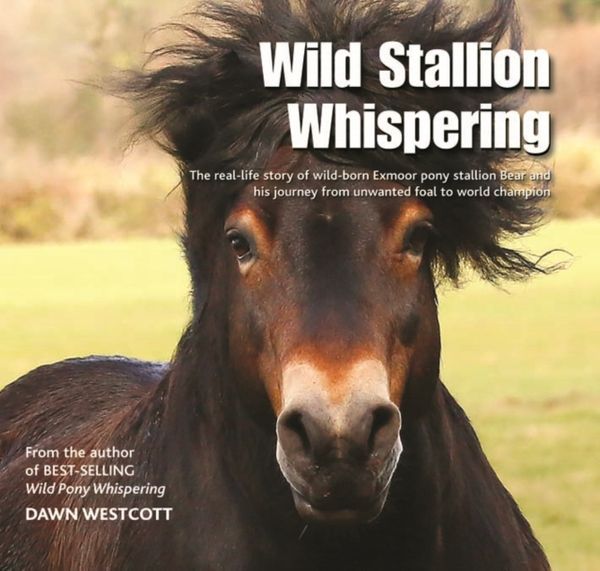 Cover Art for 9780857042934, Wild Stallion Whispering: The Real-Life Story of Wild-Born Exmoor Pony Stallion Bear and His Journey from Unwanted Foal to World Champion by Westcott, Dawn