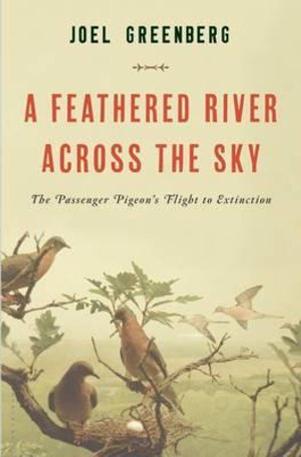 Cover Art for 9781620405345, A Feathered River Across the Sky by Joel Greenberg