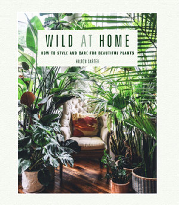 Cover Art for 9781782497592, Wild at Home by Hilton Carter