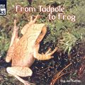Cover Art for 9780613520652, From Tadpole to Frog by Unknown