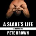 Cover Art for 9781610980364, A Slave's Life by Pete Brown
