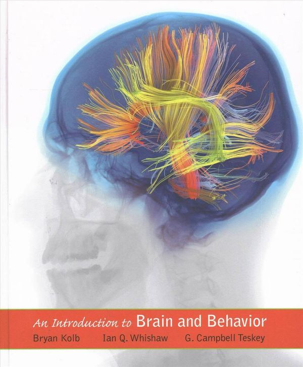 Cover Art for 9781319061920, Introduction to Brain & Behavior & Launchpad for Introduction to Brain and Behavior (Six Month Access) by Bryan Kolb