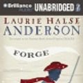 Cover Art for 9781423367383, Forge by Laurie Halse Anderson
