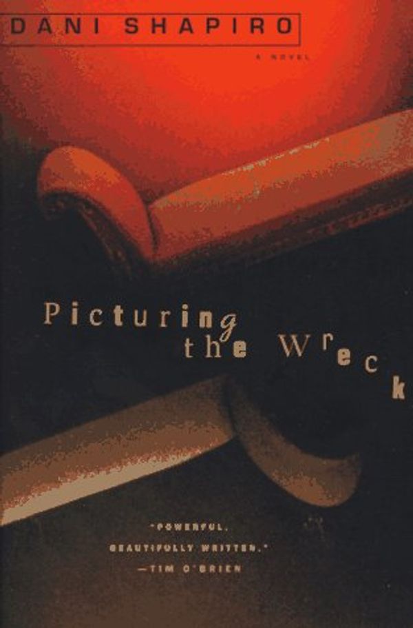 Cover Art for 9780452277694, Picturing the Wreck by Dani Shapiro